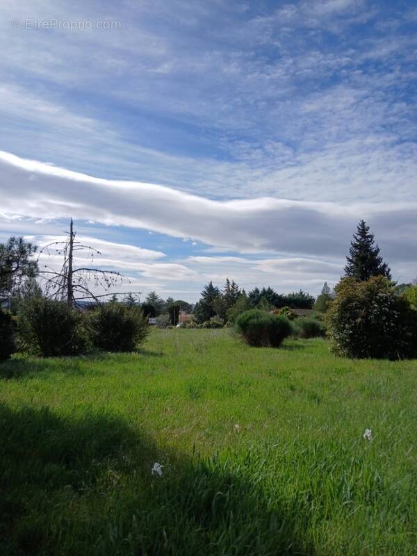 Terrain à SAINT-JEAN-DE-FOS