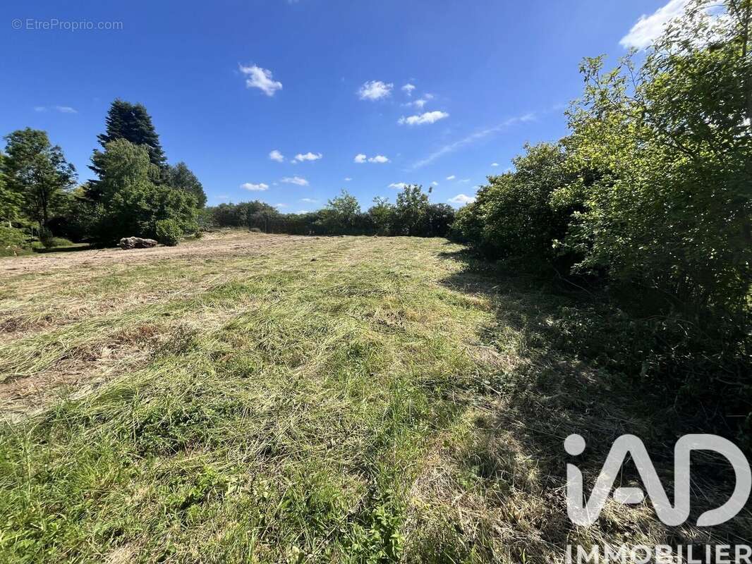 Photo 2 - Terrain à BREVIANDES