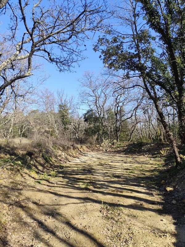 Terrain à LA BRUGUIERE