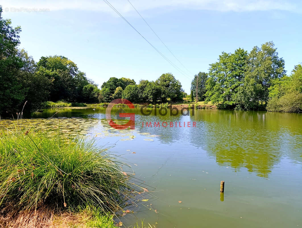 Un petit coin de paradis en Bretagne : Maison de plain-pied avec son étang privé sur 1.4 hectare de terrain - photo 18