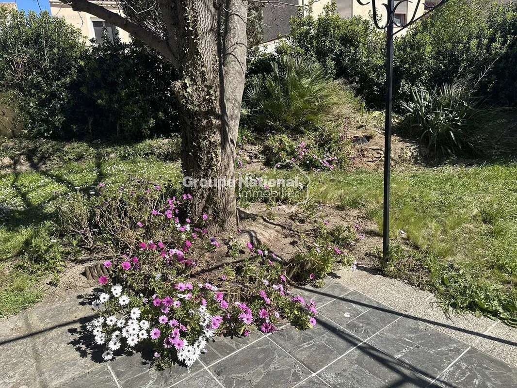 Maison à SAINT-MARTIN-DE-CRAU