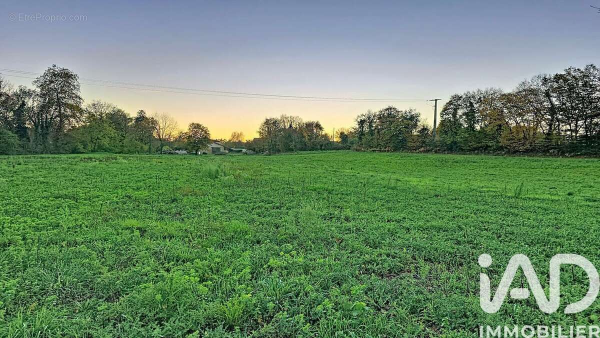 Photo 6 - Terrain à MONTAGNAT