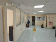 Commerce à POINTE-A-PITRE