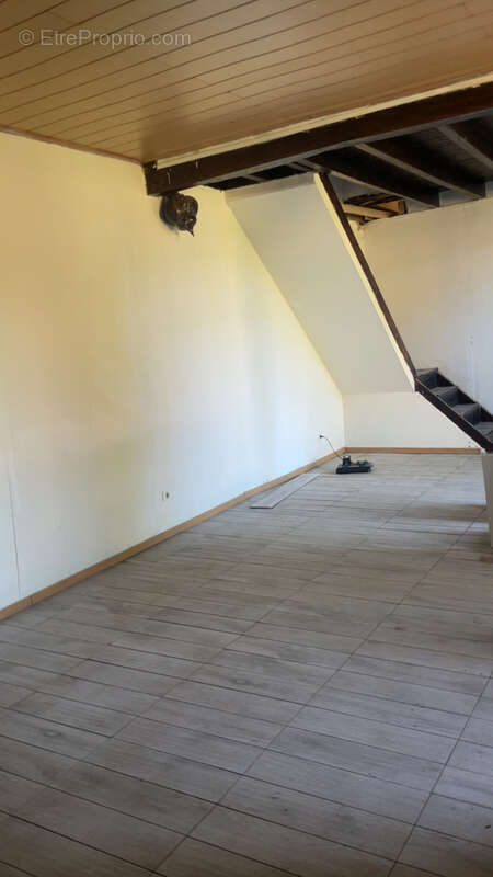 Maison 194 m² à Sancoins  - photo 6