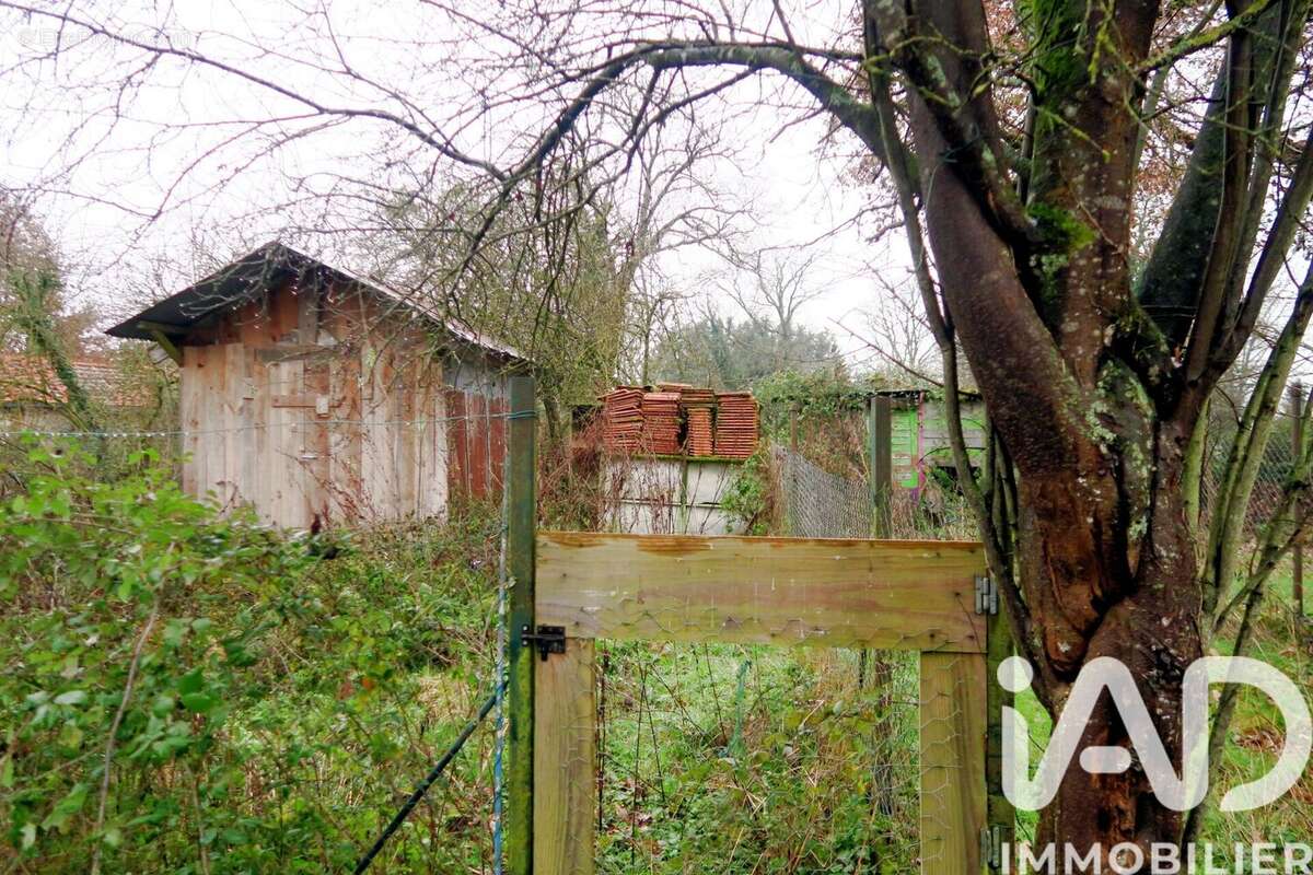 Photo 9 - Terrain à SAINTE-RADEGONDE