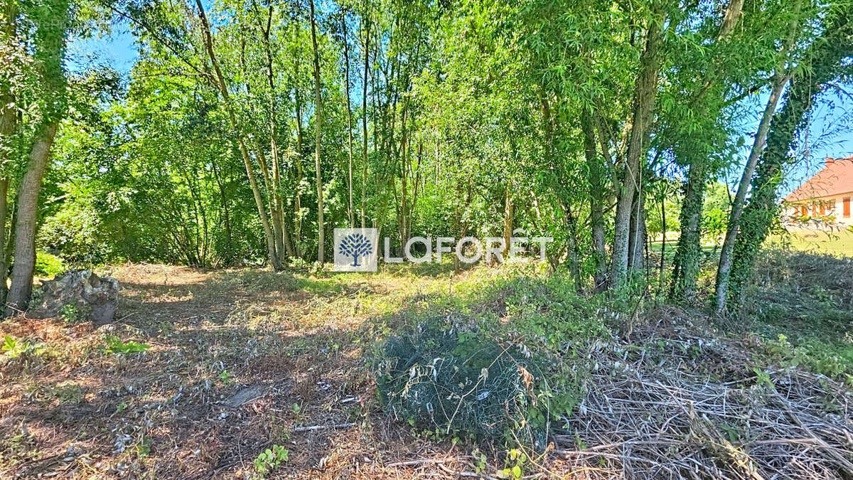 Terrain de loisir avec étang ? 4 670 m² ? Axe Chauny / Noyon - photo 2