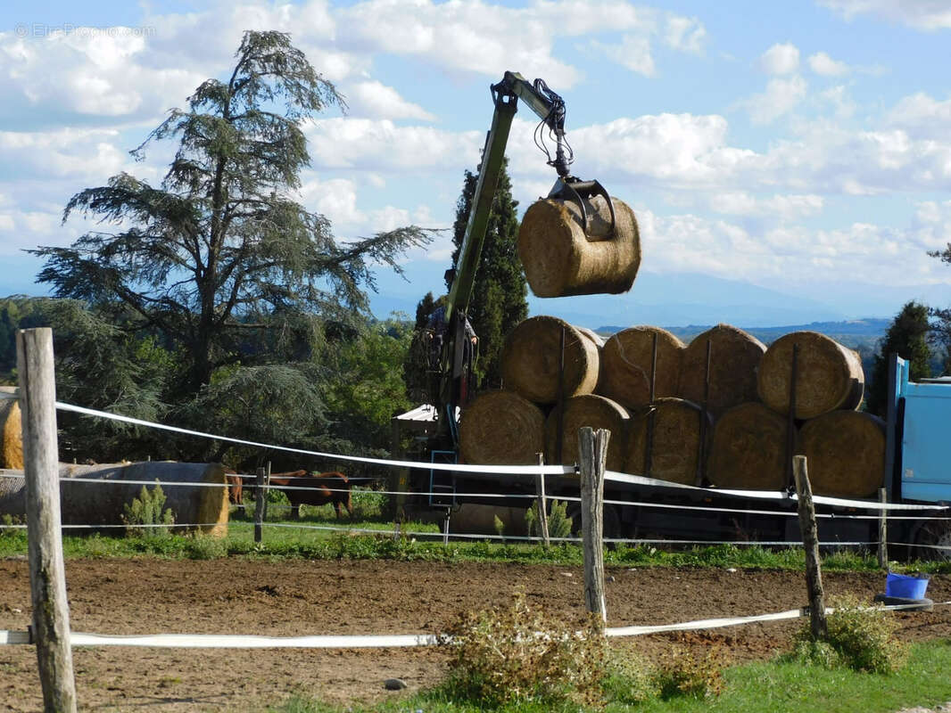 CINTEGABELLE- Fonds de commerce pension de chevaux et poney club - photo 20