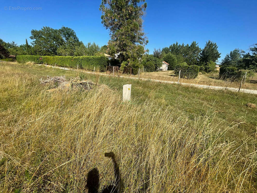 Terrain viabilisé de 1062 m2 à PENNE D'AGENAIS - photo 3