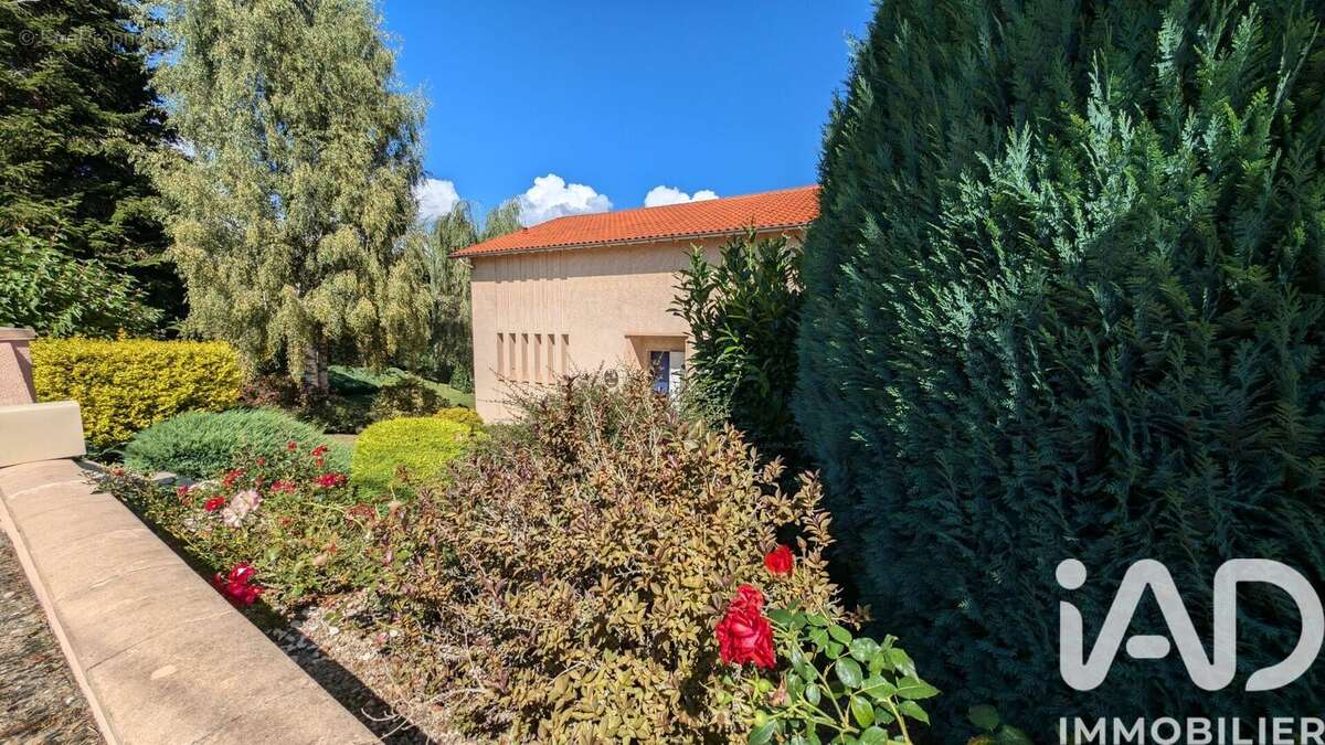 Photo 4 - Maison à ALLEGRE