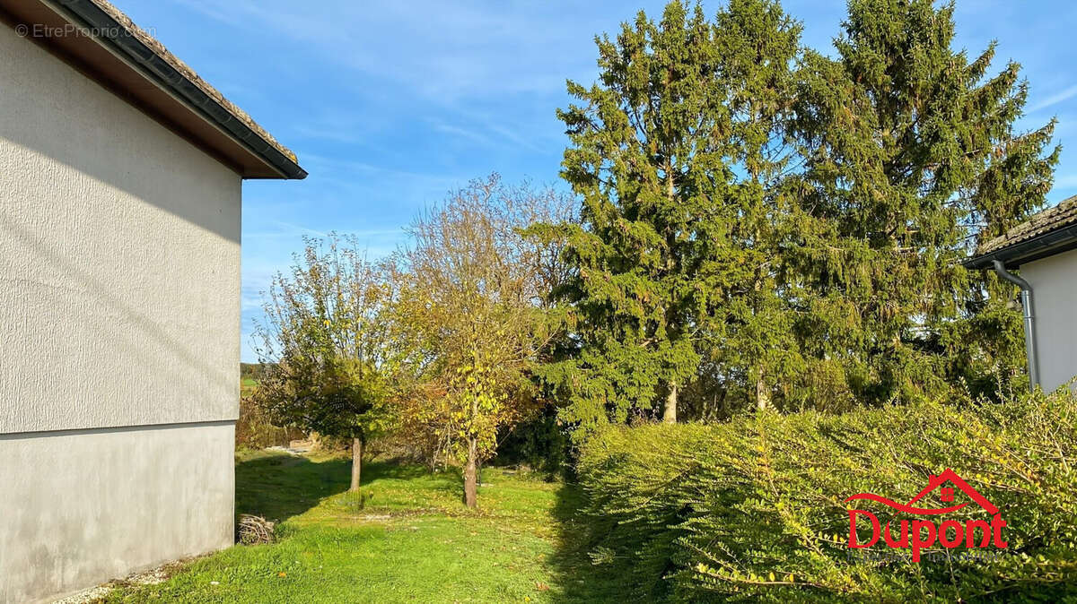 Maison à ASSENCIERES