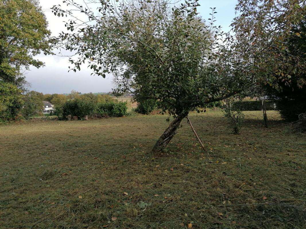 Terrain à CARO