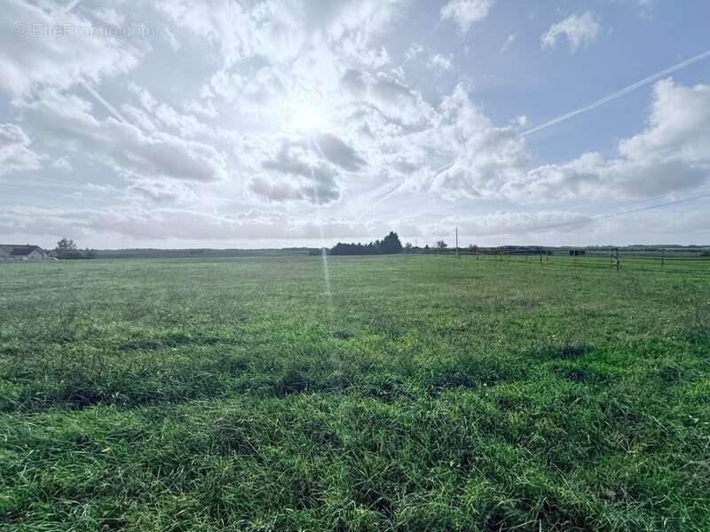 Maison à PERDREAUVILLE