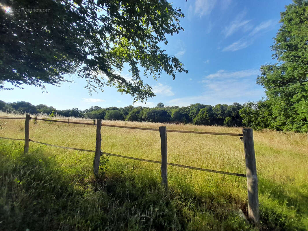Maison à BONNETABLE