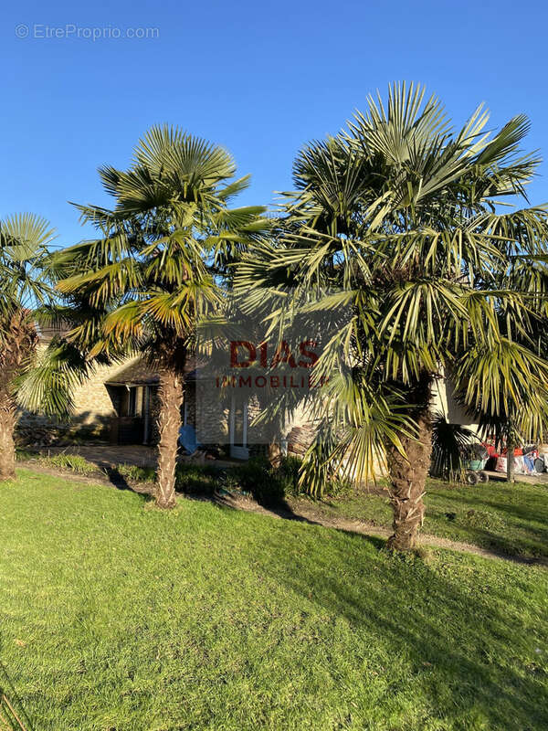 Terrain à PRESLES-EN-BRIE