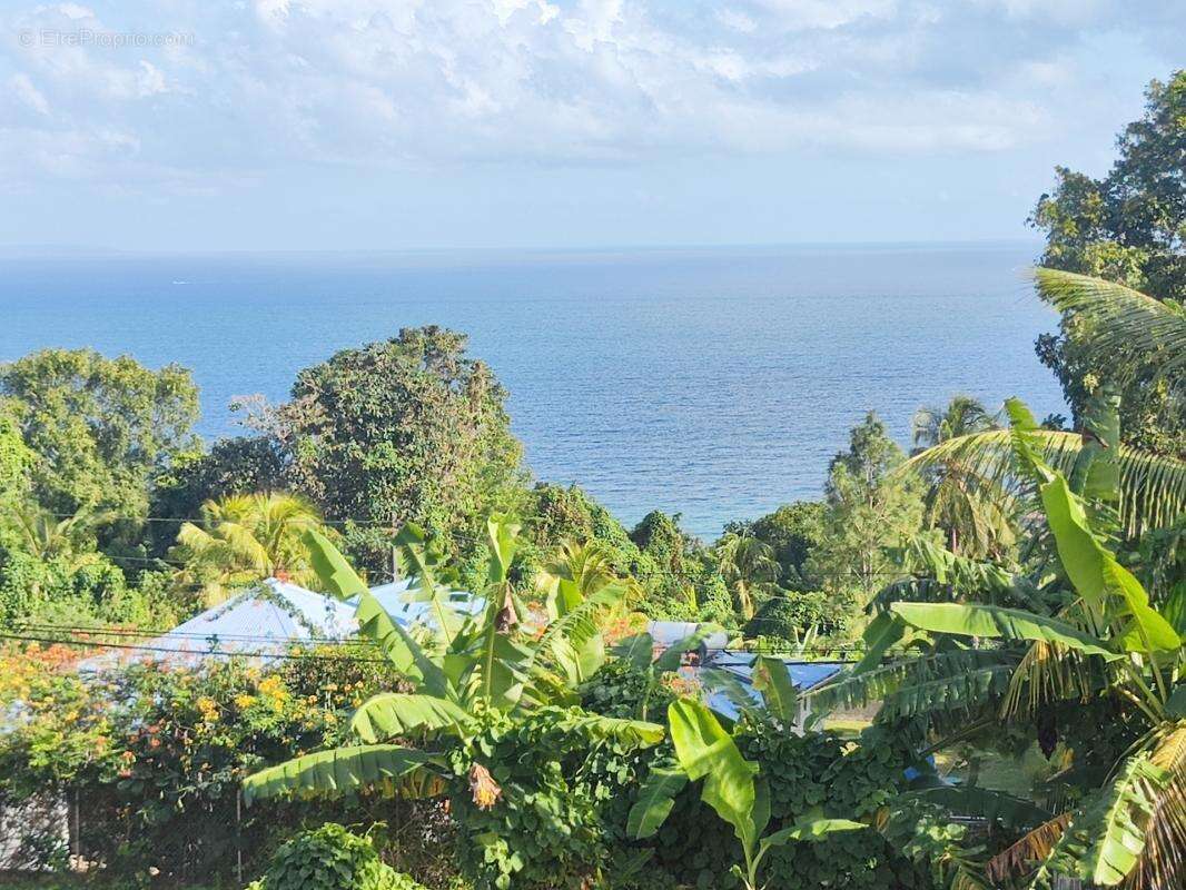 Maison à CAPESTERRE-BELLE-EAU