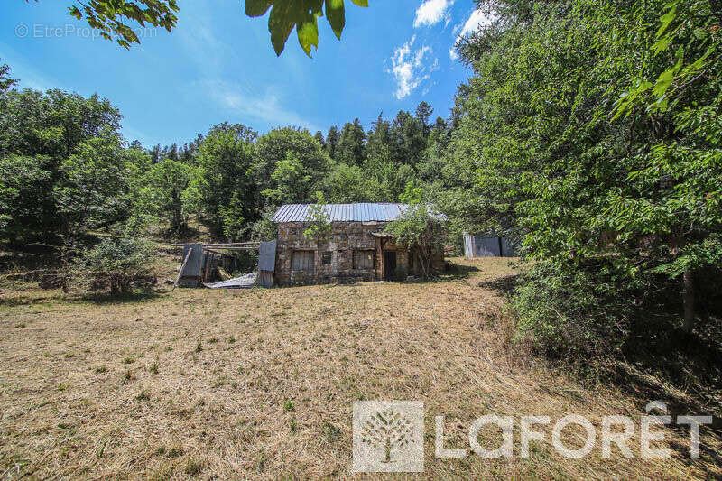 **muande + 7200 m² de terrain - embrun - photo 12