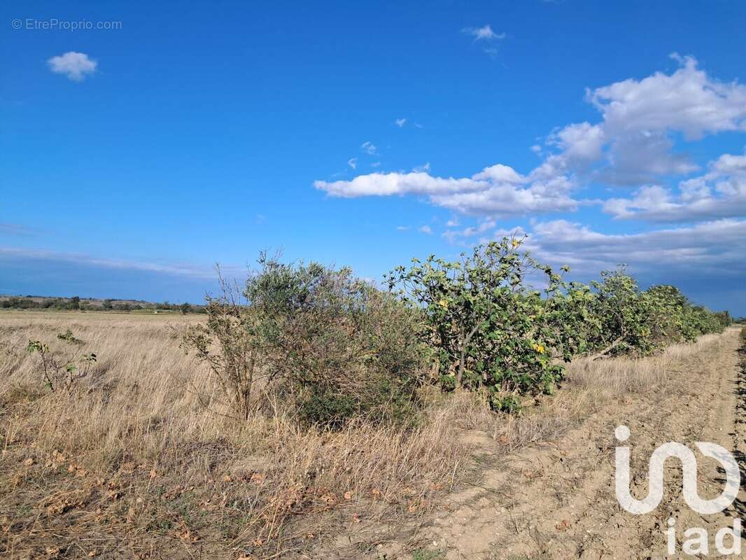 Photo 9 - Terrain à CANET