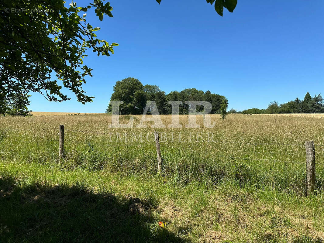 Maison en pierre de 6 piéces - Ref.M14774 - photo 15