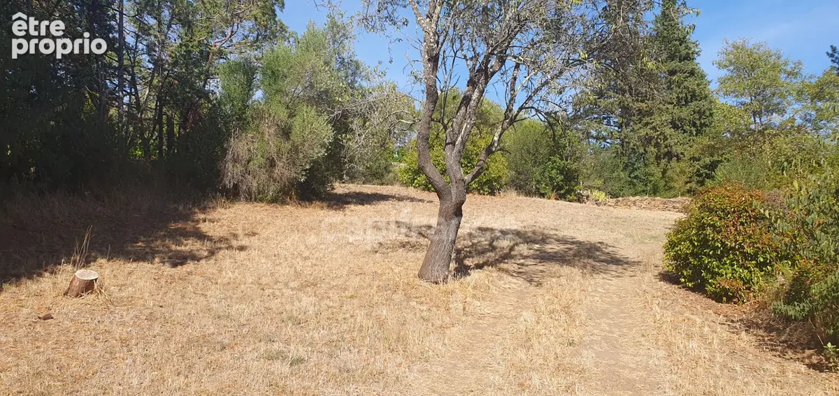 Maison à vendre 9 pièces LE BOSC (34) - photo 12