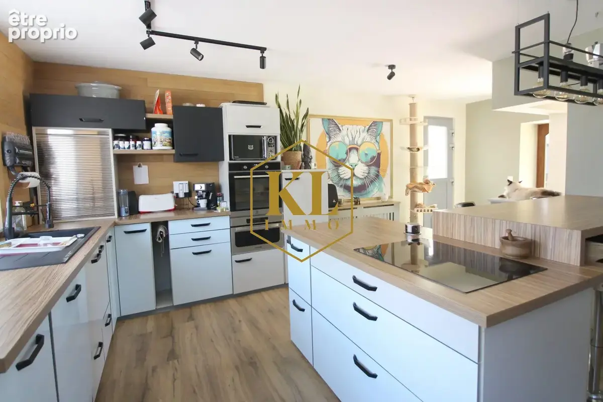 Maison 6 pièces 155 m² à vendre à Grussenheim (68320) - photo 1