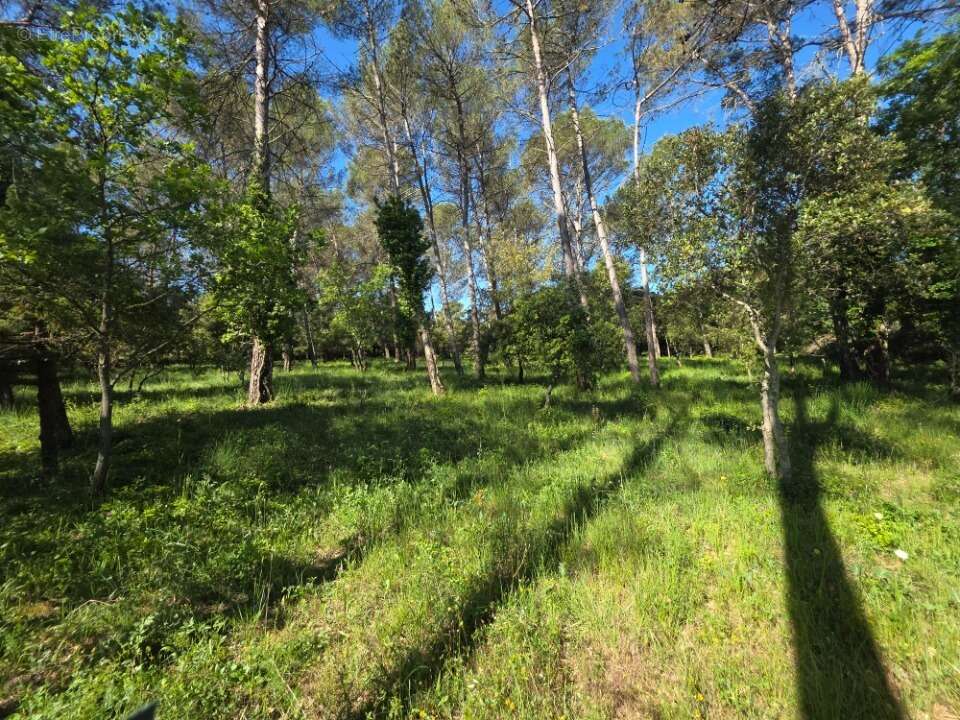 Terrain 847 m² à Gareoult  - photo 7