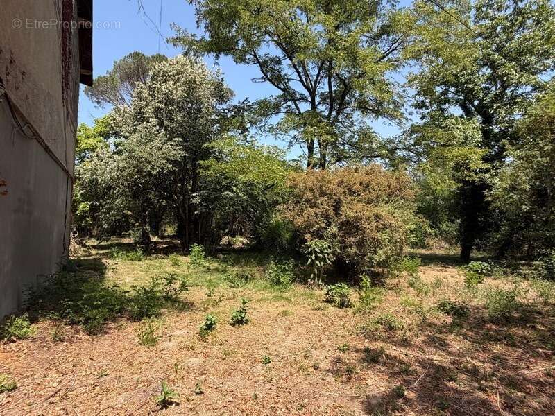 PLAISANCE du GERS proche(32): ANCIENNE PROPRIETE BOURGEOISE avec dépendances, bois, petit etang, 2 hectares,CALME, sans vis à vi - photo 27