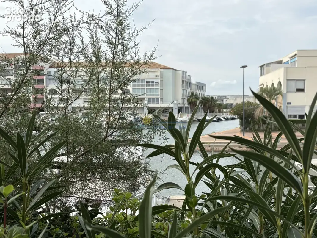 Photo Appartement à Sete au prix de 163 000€