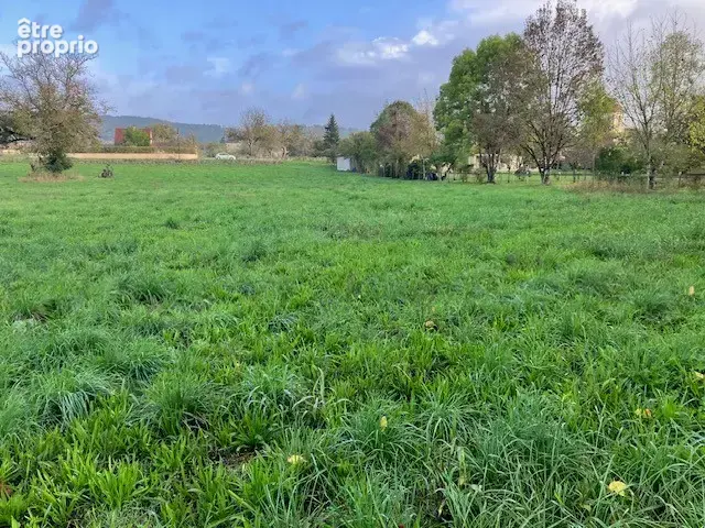 Terrain en bord de la Dordogne à Pechs-de-l'Espérance - 6370m2 - photo 9