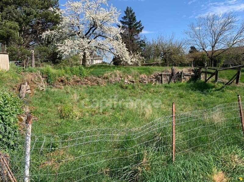 Maison à SAINT-BARTHELEMY-LESTRA