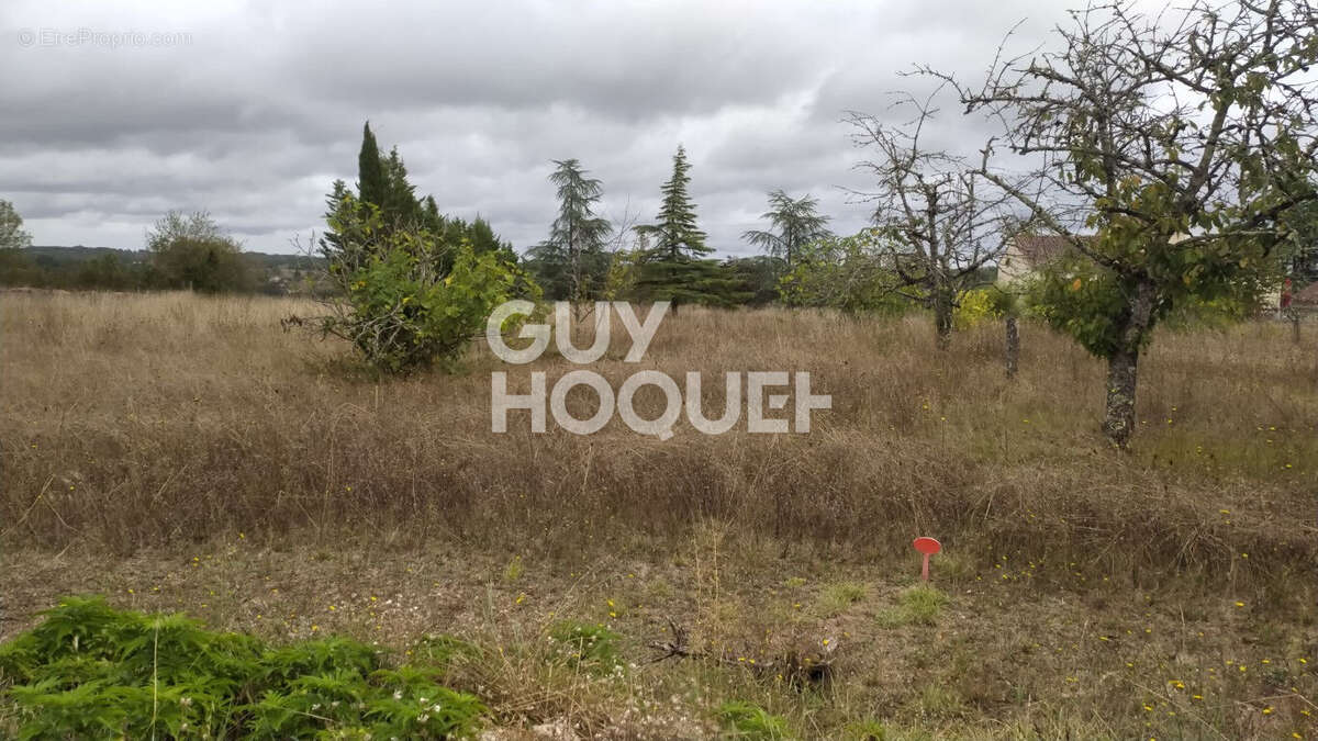 Terrain à LE MONTAT