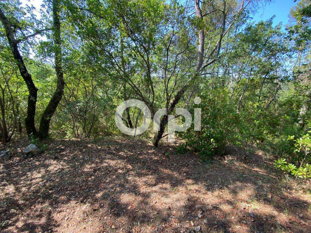 Terrain boisé non constructible / terrain de loisirs - chasse / bois / camping - photo 3