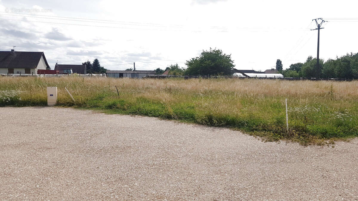 Terrain à L&#039;ABERGEMENT-SAINTE-COLOMBE