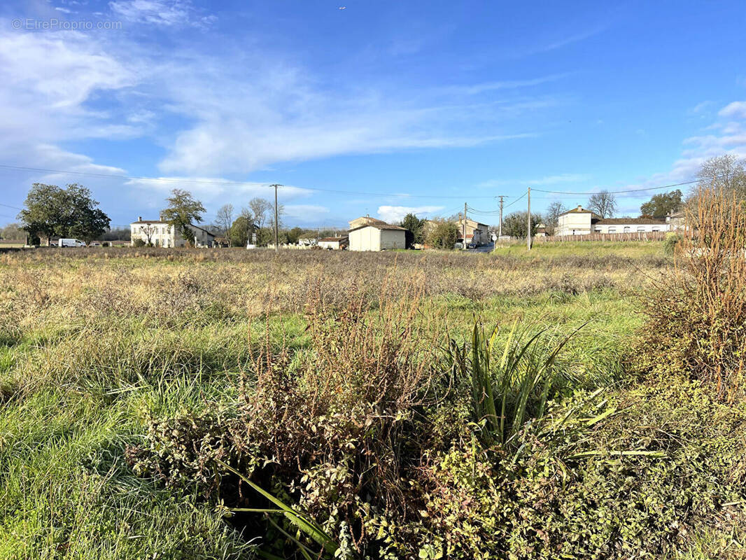 Terrain à SAINT-MICHEL-DE-FRONSAC