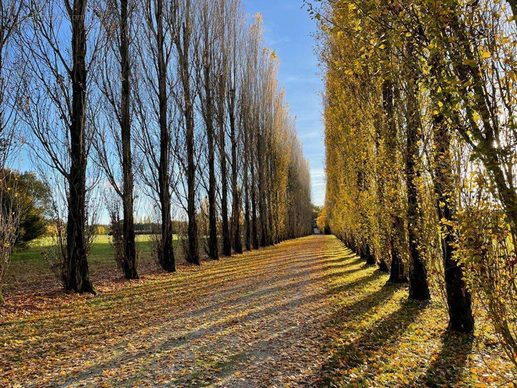Exclusivité - Propriété avec beaucoup de cachet proche de Tigy ; Longère, Ecuries, piste d'entrainement, prés, bois et plan d'ea - photo 18