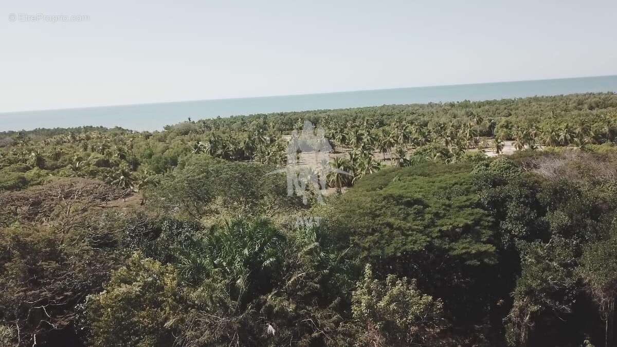 Terrain à BANOS