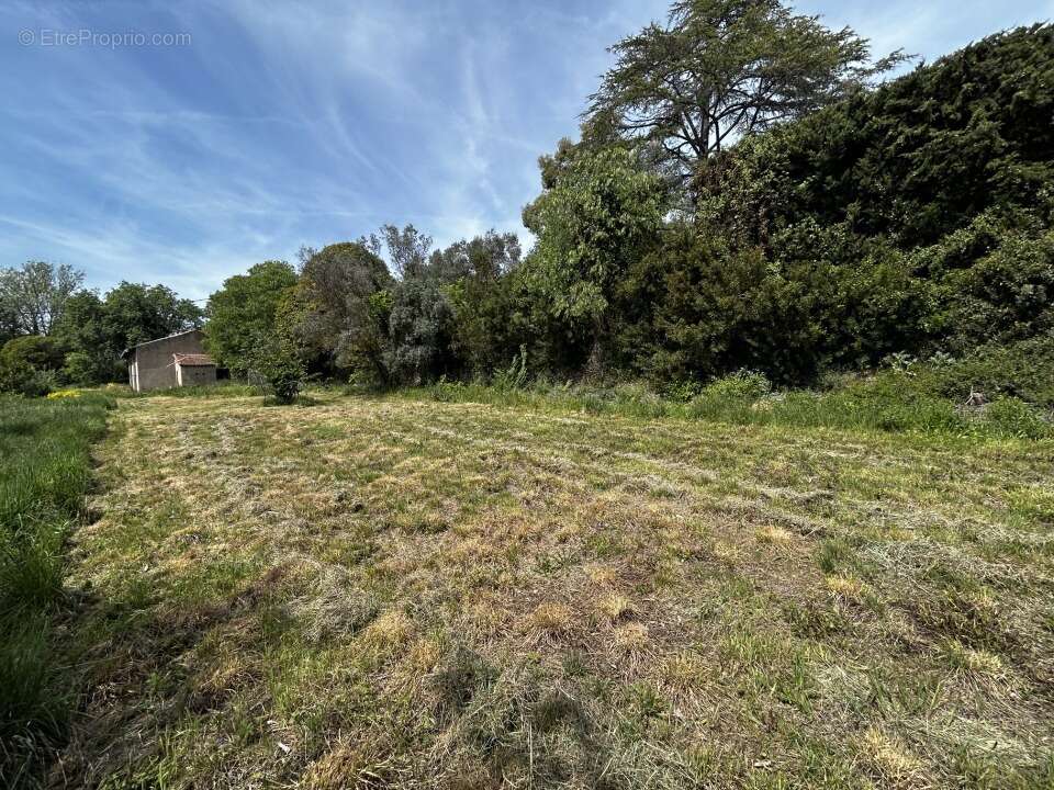 Terrain 830 m² à Draguignan  - photo 3