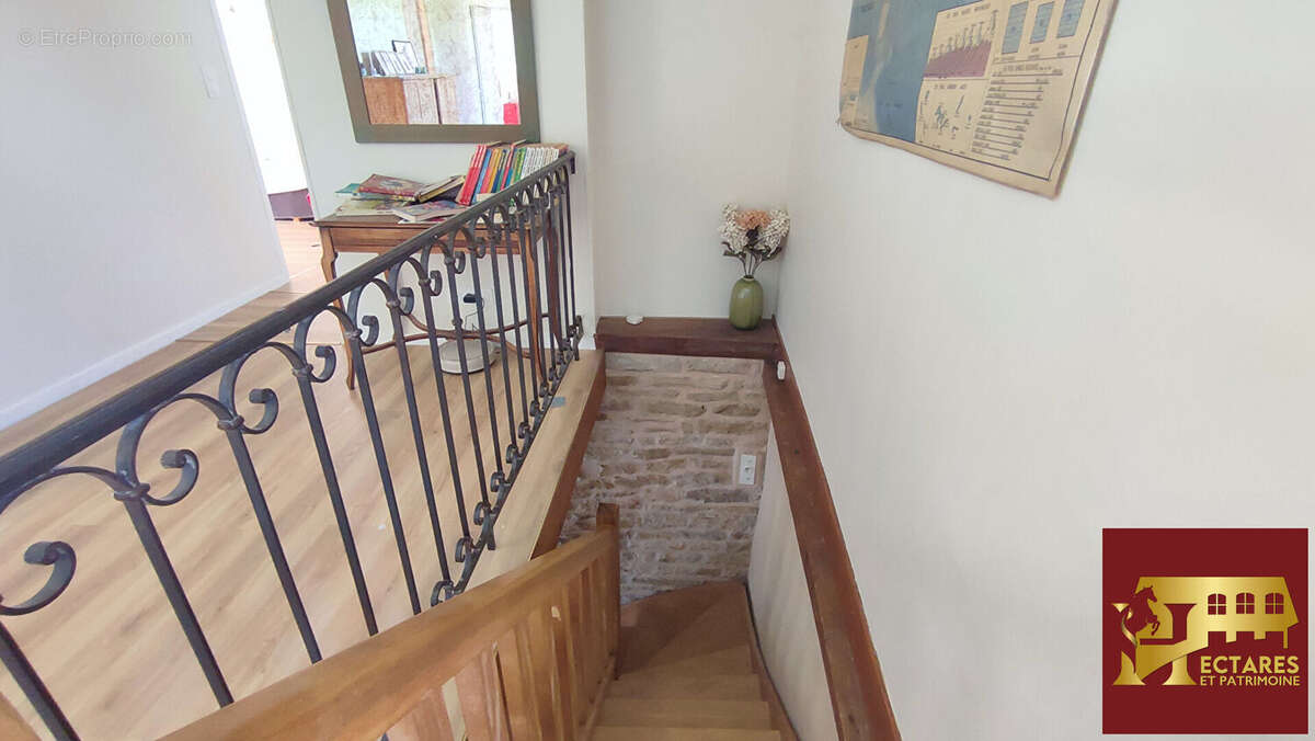 Propriété avec gîte et 3,6 ha - photo 6