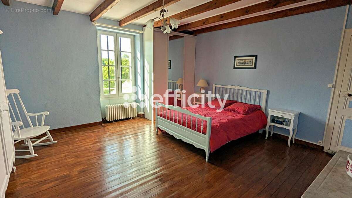 Maison 355 m² à Asnieres-Sur-Nouere  - photo 12