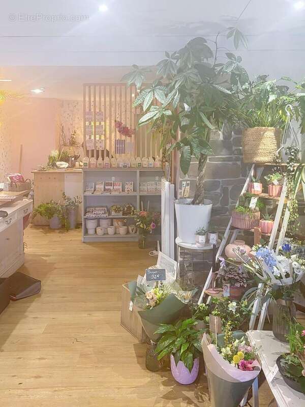 Photo 4 - Commerce à ROSCOFF