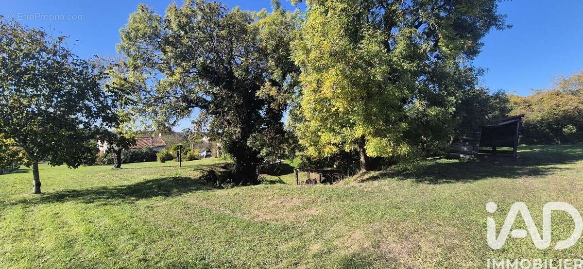 Photo 4 - Maison à BUSSAC-SUR-CHARENTE
