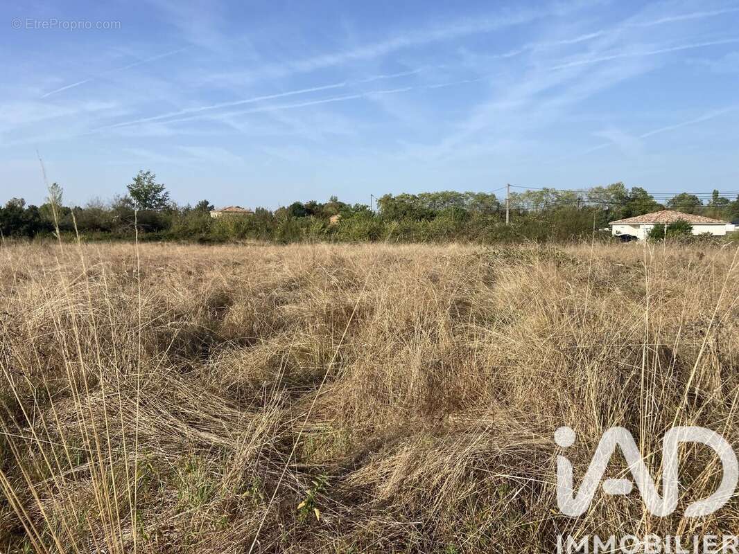 Photo 3 - Terrain à CASTELSARRASIN