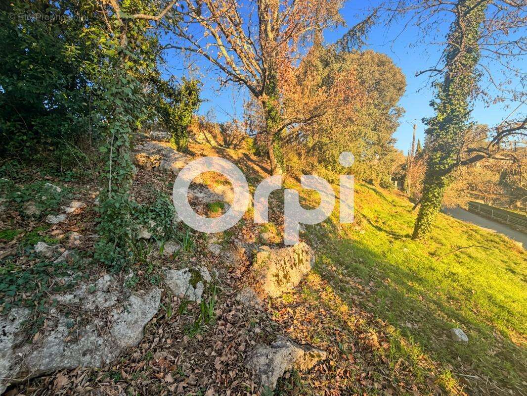 Terrain  constructible à vendre de 2 488 m² - photo 10
