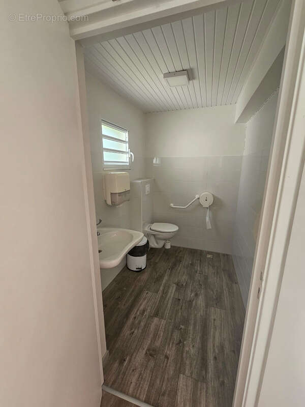 Commerce à BASSE-POINTE