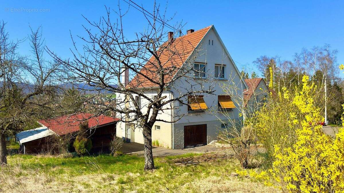 Photo 6 - Maison à REICHSHOFFEN