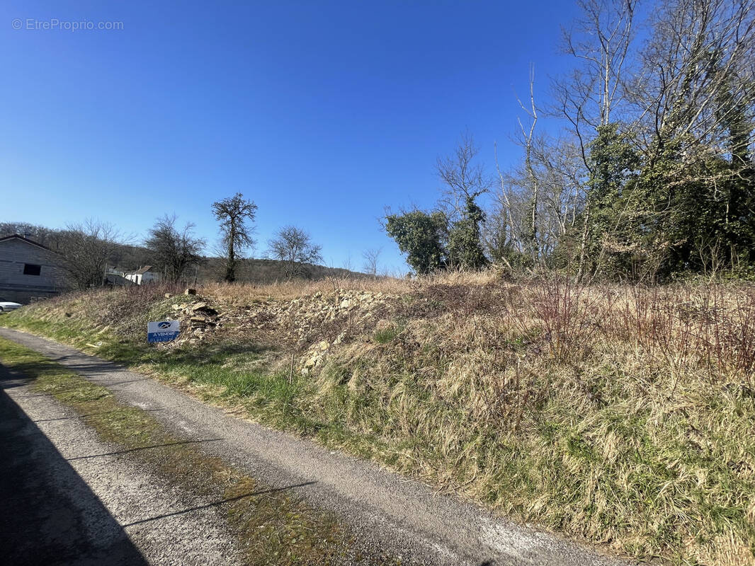 Terrain à ADELANS-ET-LE-VAL-DE-BITHAINE