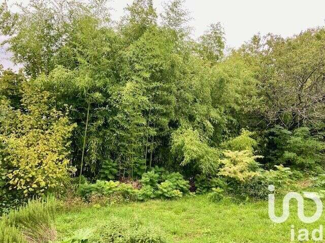 Photo 6 - Maison à SAINT-GENGOUX-LE-NATIONAL