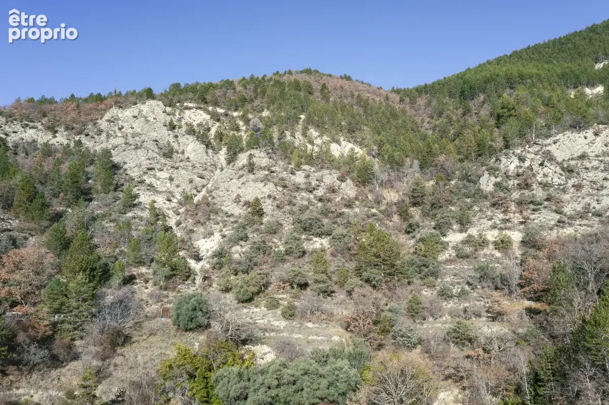 Terrain 34 589 m² à vendre à Puget-Theniers (06260) - photo 12