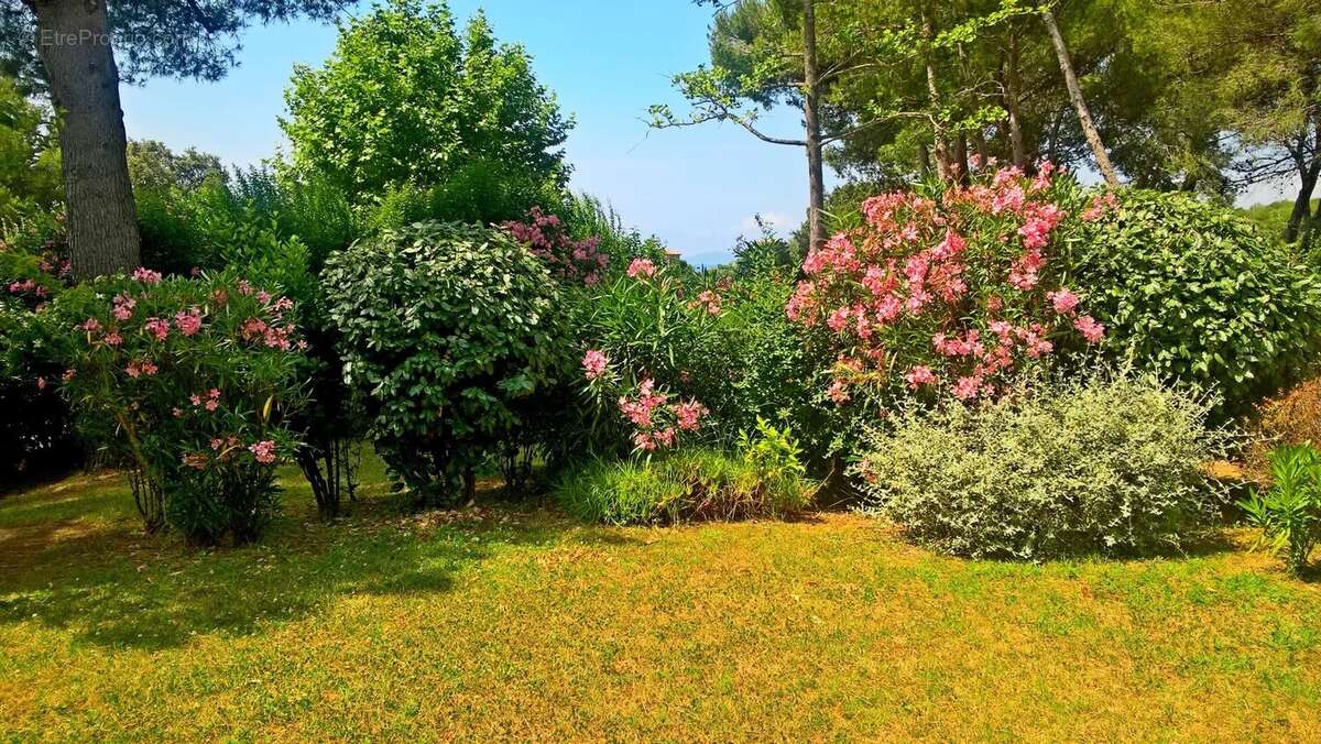 Appartement à SAINT-RAPHAEL