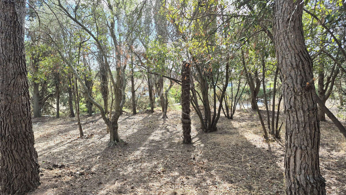 Terrain à OUVEILLAN