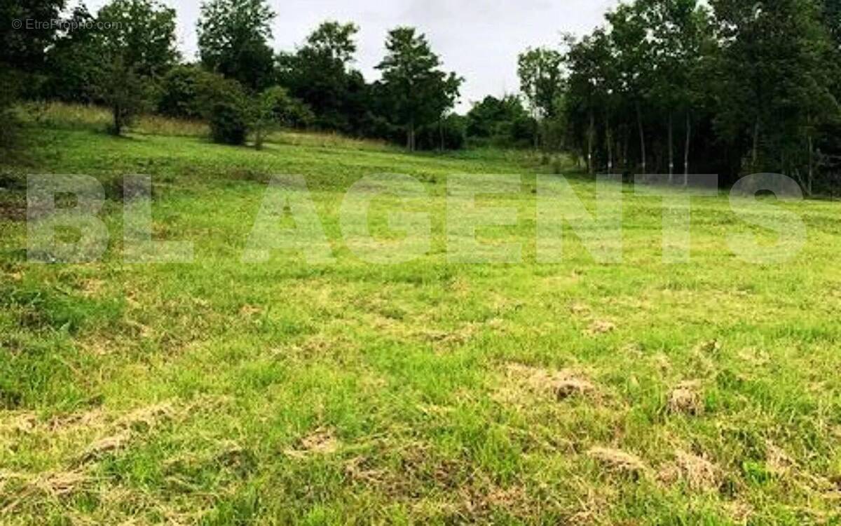 Terrain Fleury - Terrain à MAREUIL-SUR-OURCQ